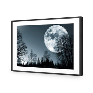 Forest Moon | Standard Acrylic | Flat Frame With Border | Black