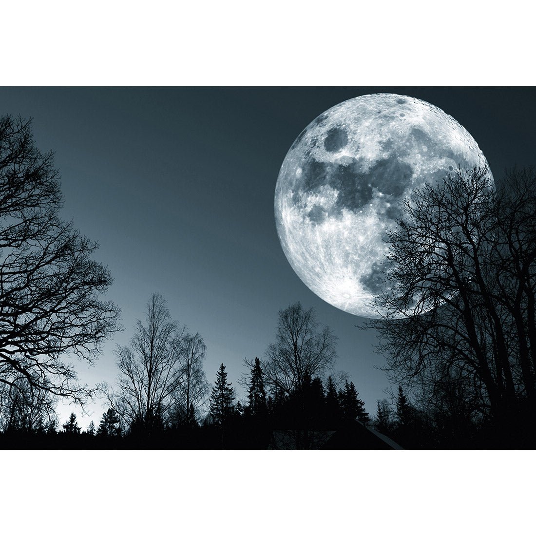 Forest Moon Acrylic Print Art - Wall Art Designs - 2622_AR_H WAD_AP - 030 - MAT_45x30_NONE