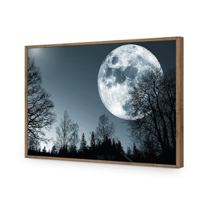 Forest Moon | Standard Acrylic | Flat Frame No Border | Natural
