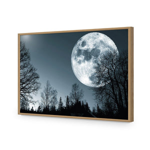 Forest Moon | Standard Acrylic | Flat Frame No Border | Oak