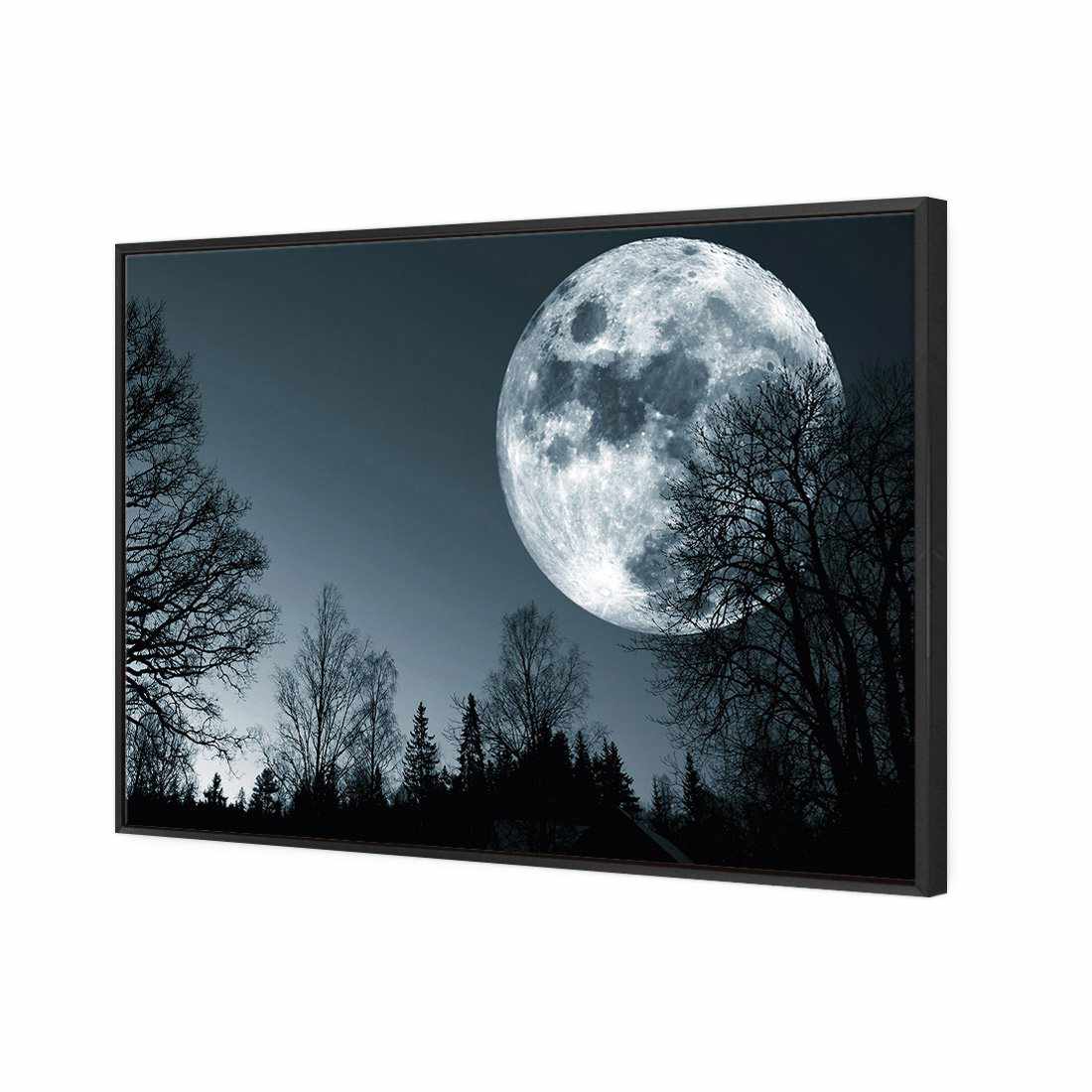 Forest Moon | Standard Canvas | Floating Frame | Black