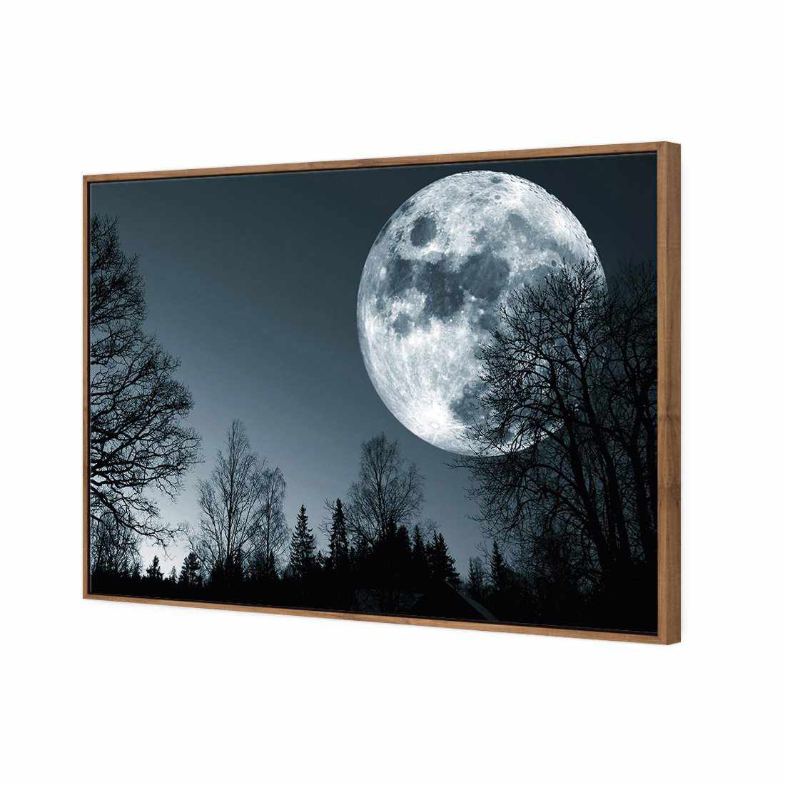 Forest Moon | Standard Canvas | Floating Frame | Natural