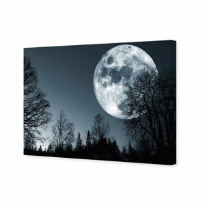 Forest Moon | Standard Canvas | No Frame | Stretched Canvas