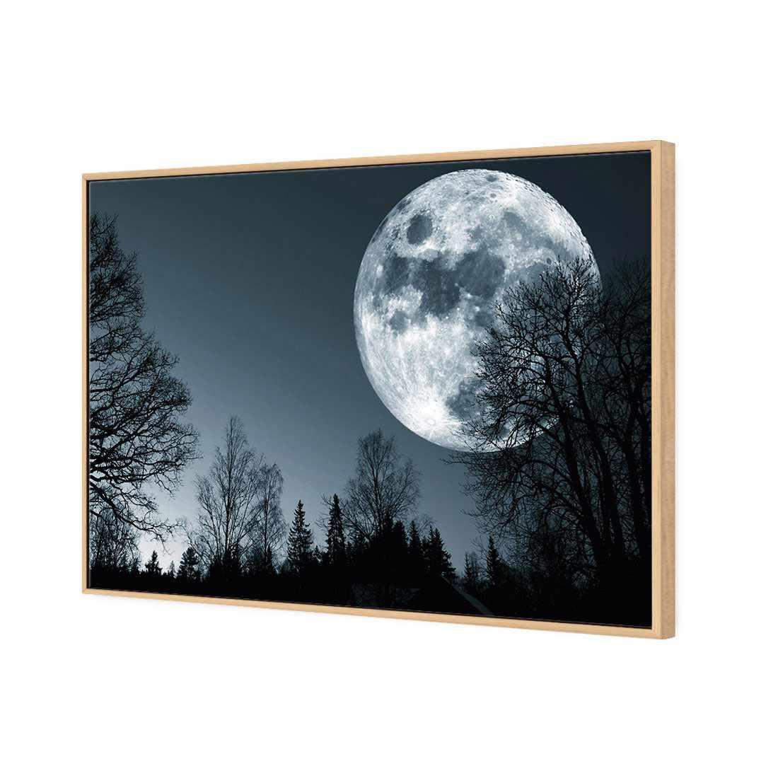 Forest Moon | Standard Canvas | Floating Frame | Oak