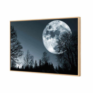 Forest Moon | Standard Canvas | Floating Frame | Oak