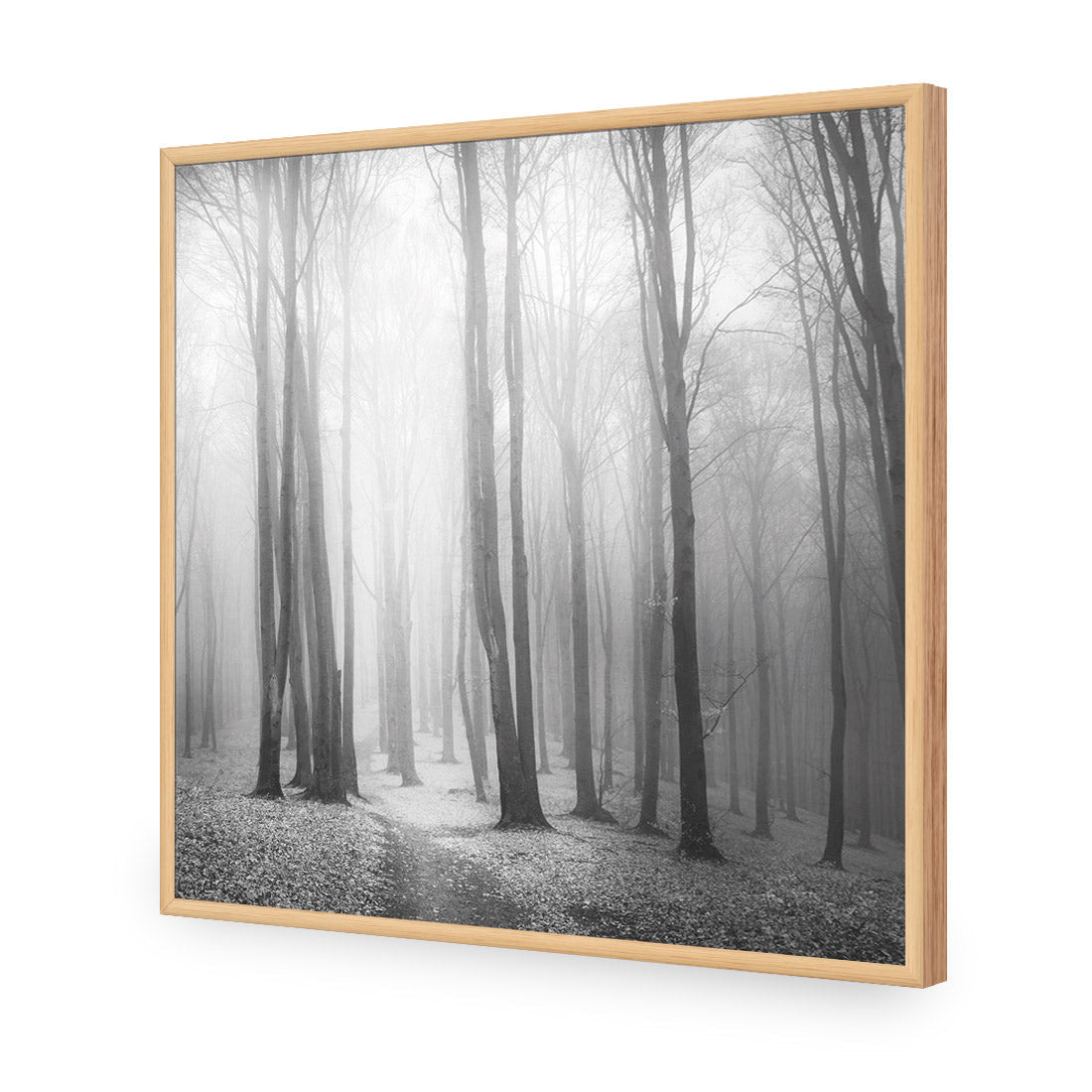 Forest of Fire, Black and White (square) - Wall Art Designs - 1718_BS_Q WAD_CP - MPY - 260 - M - S - S_37x37_NONE