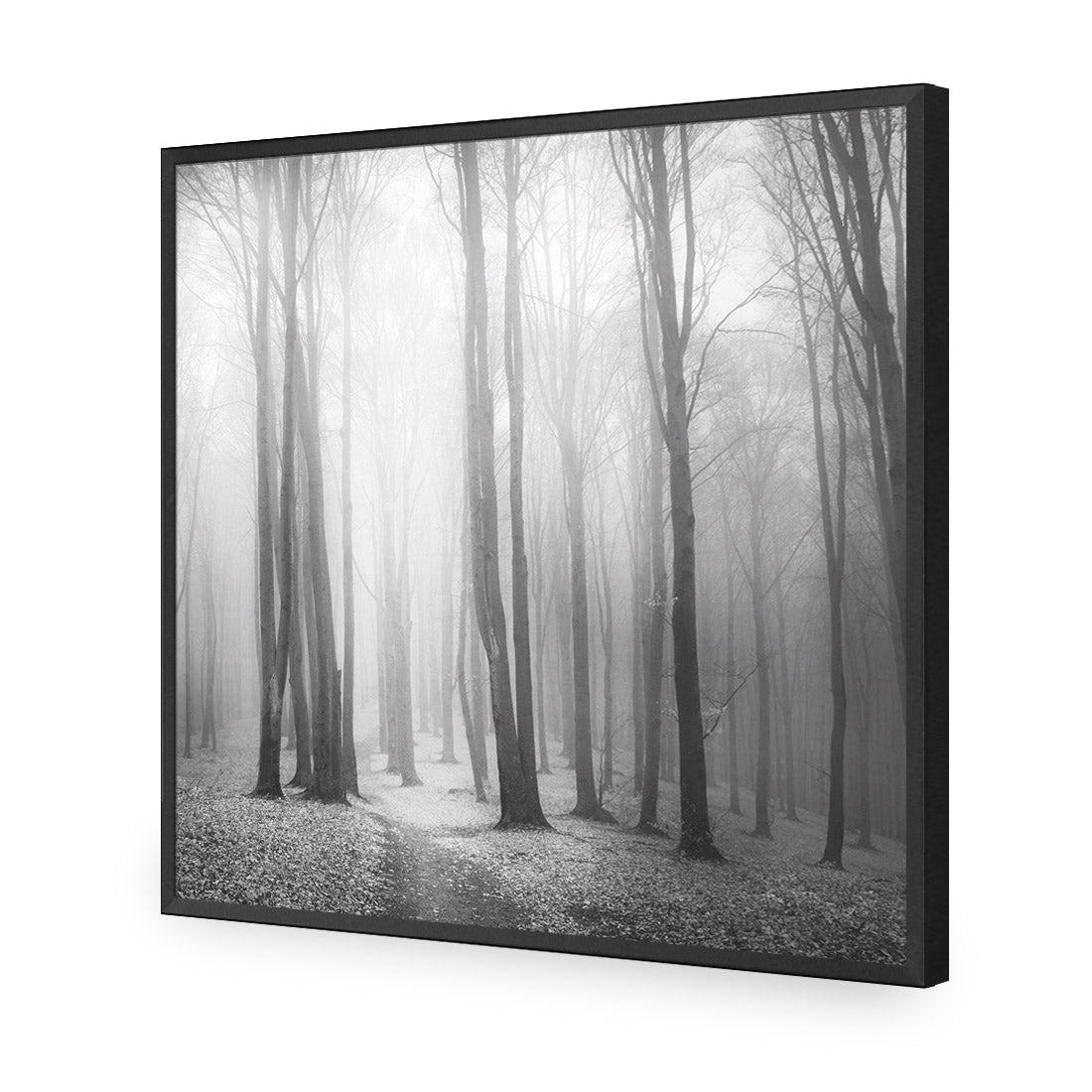 Forest of Fire, Black and White (square) - Wall Art Designs - 1718_BS_Q WAD_CP - MPY - 260 - M - S - S_37x37_NONE