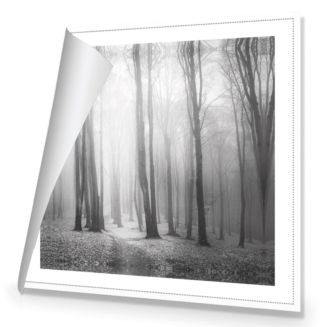 Forest of Fire, Black and White (square) - Wall Art Designs - 1718_BS_Q WAD_CP - MPY - 260 - M - S - S_37x37_NONE