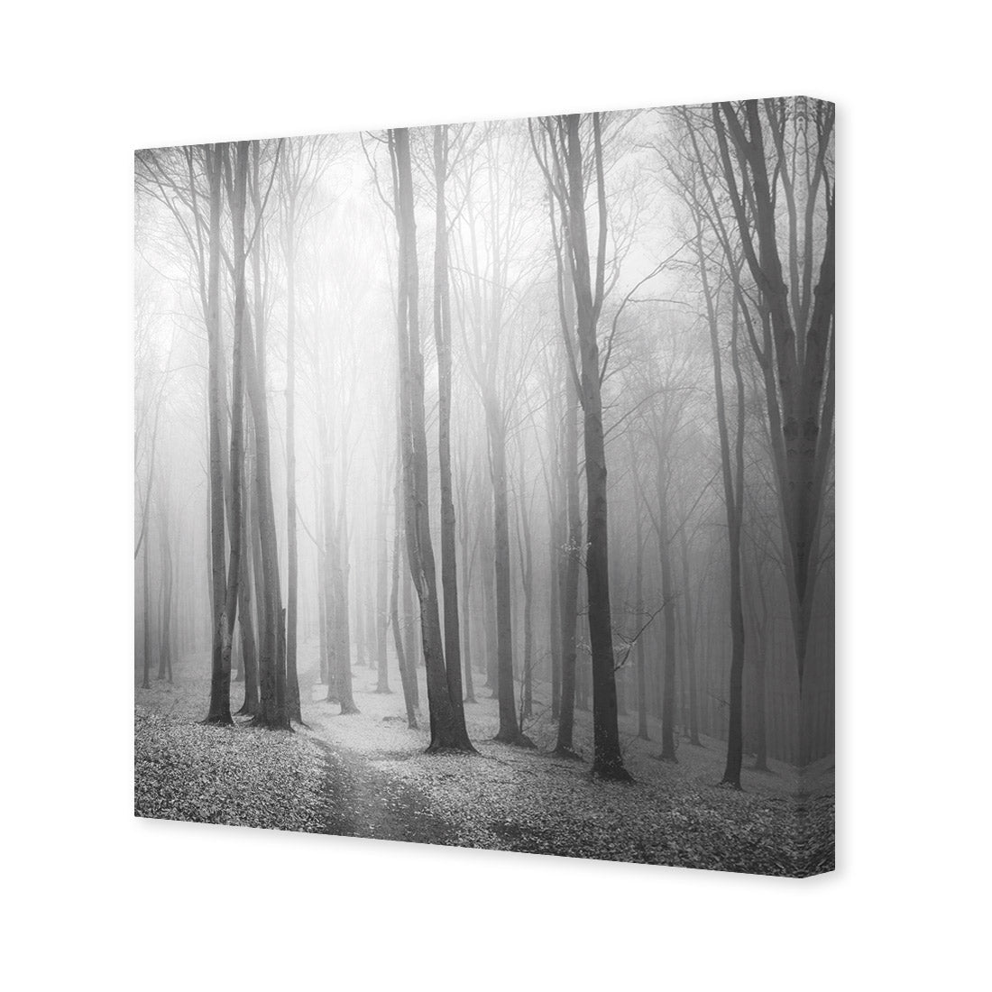 Forest of Fire, Black and White (square) - Wall Art Designs - 1718_BS_Q WAD_CP - MPY - 260 - M - S - S_37x37_NONE