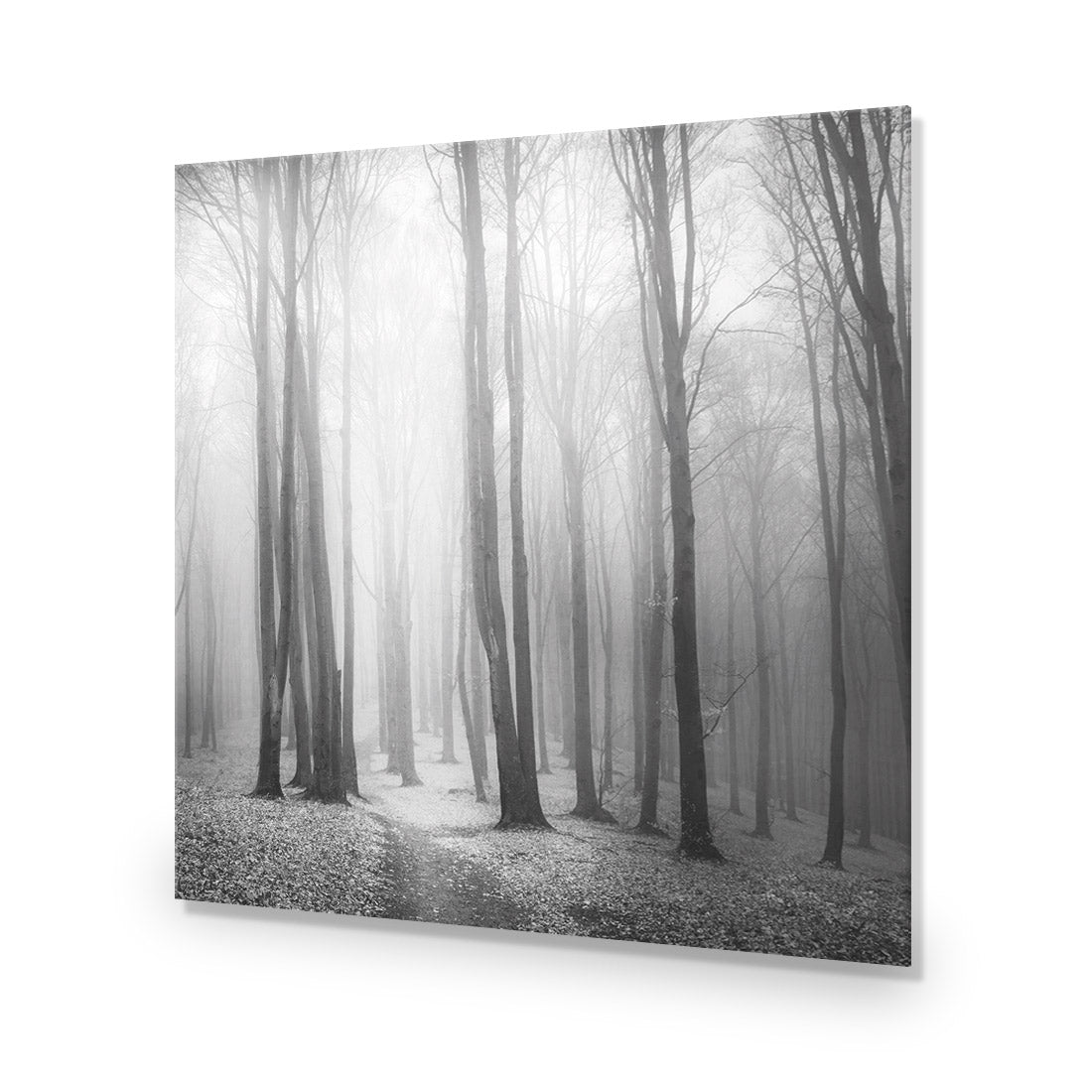 Forest of Fire, Black and White (square) - Wall Art Designs - 1718_BS_Q WAD_CP - MPY - 260 - M - S - S_37x37_NONE