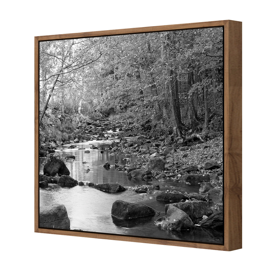 Forest Stream, Black and White (Square) - Wall Art Designs - 1234_BS_Q WAD_CP - MPY - 260 - M - S - S_37x37_S - 1550 - NAT