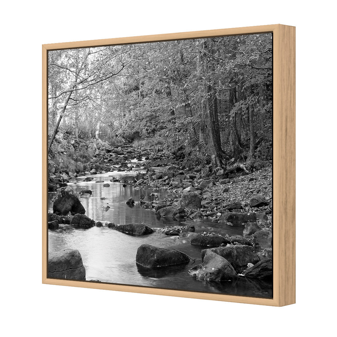 Forest Stream, Black and White (Square) - Wall Art Designs - 1234_BS_Q WAD_CP - MPY - 260 - M - S - S_37x37_S - 1550 - OAK