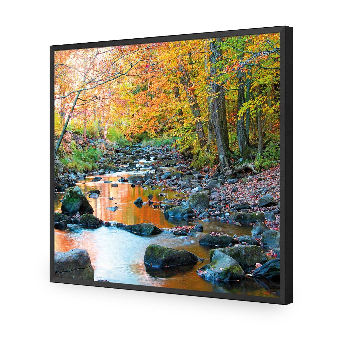 Forest Stream (square) - Wall Art Designs - 1234_AS_Q WAD_AP - 030 - EDG_37x37_S - 2538 - BLK