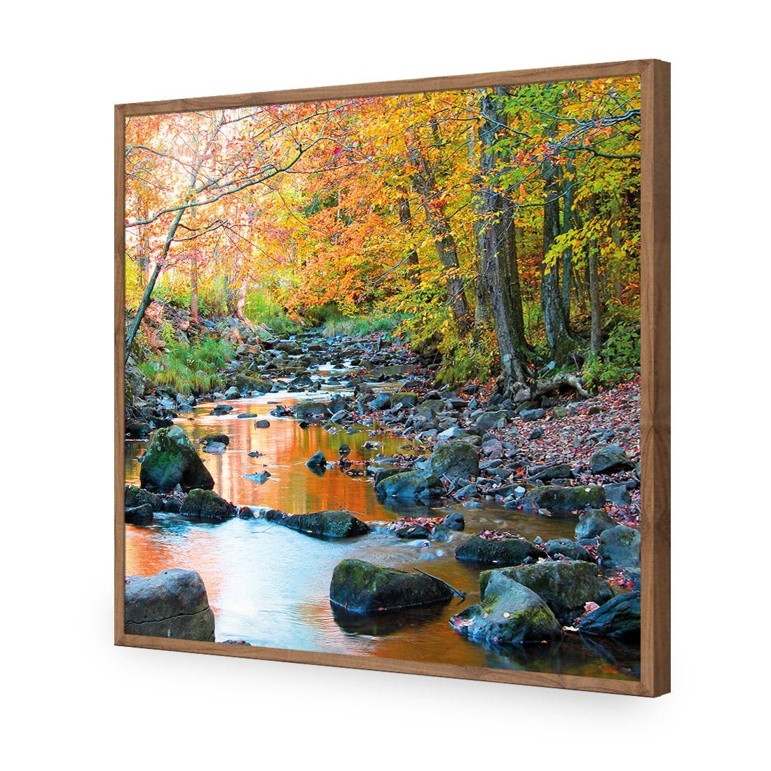 Forest Stream (square) - Wall Art Designs - 1234_AS_Q WAD_AP - 030 - EDG_37x37_S - 2538 - NAT