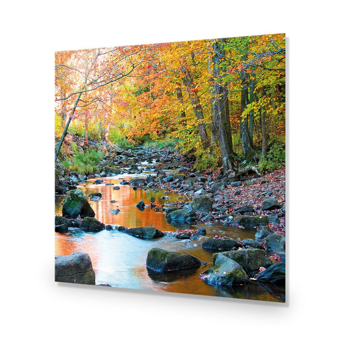 Forest Stream (square) - Wall Art Designs - 1234_AS_Q WAD_AP - 030 - EDG_37x37_NONE