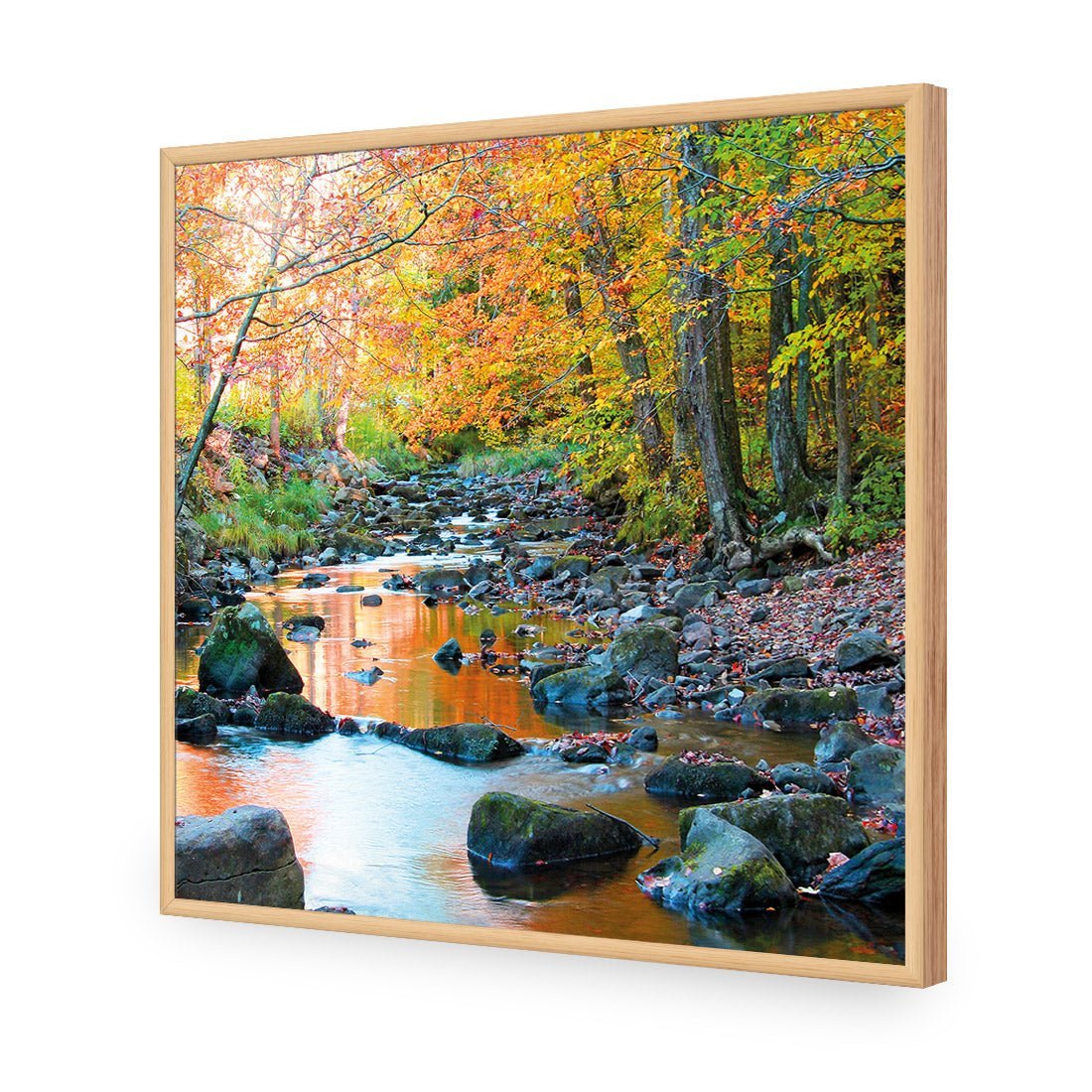 Forest Stream (square) - Wall Art Designs - 1234_AS_Q WAD_AP - 030 - EDG_37x37_S - 2538 - OAK