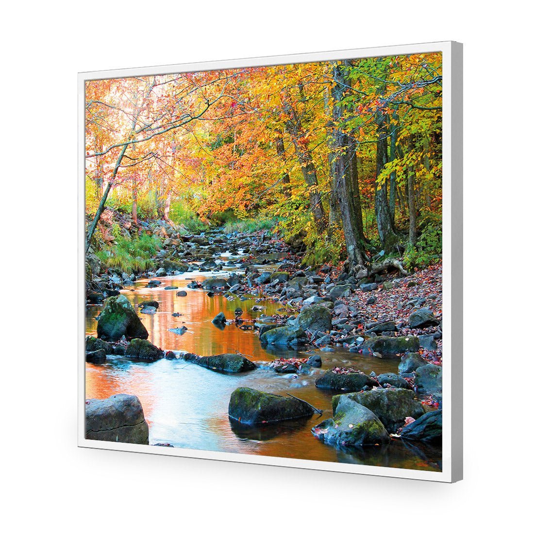 Forest Stream (square) - Wall Art Designs - 1234_AS_Q WAD_AP - 030 - EDG_37x37_S - 2538 - WHT