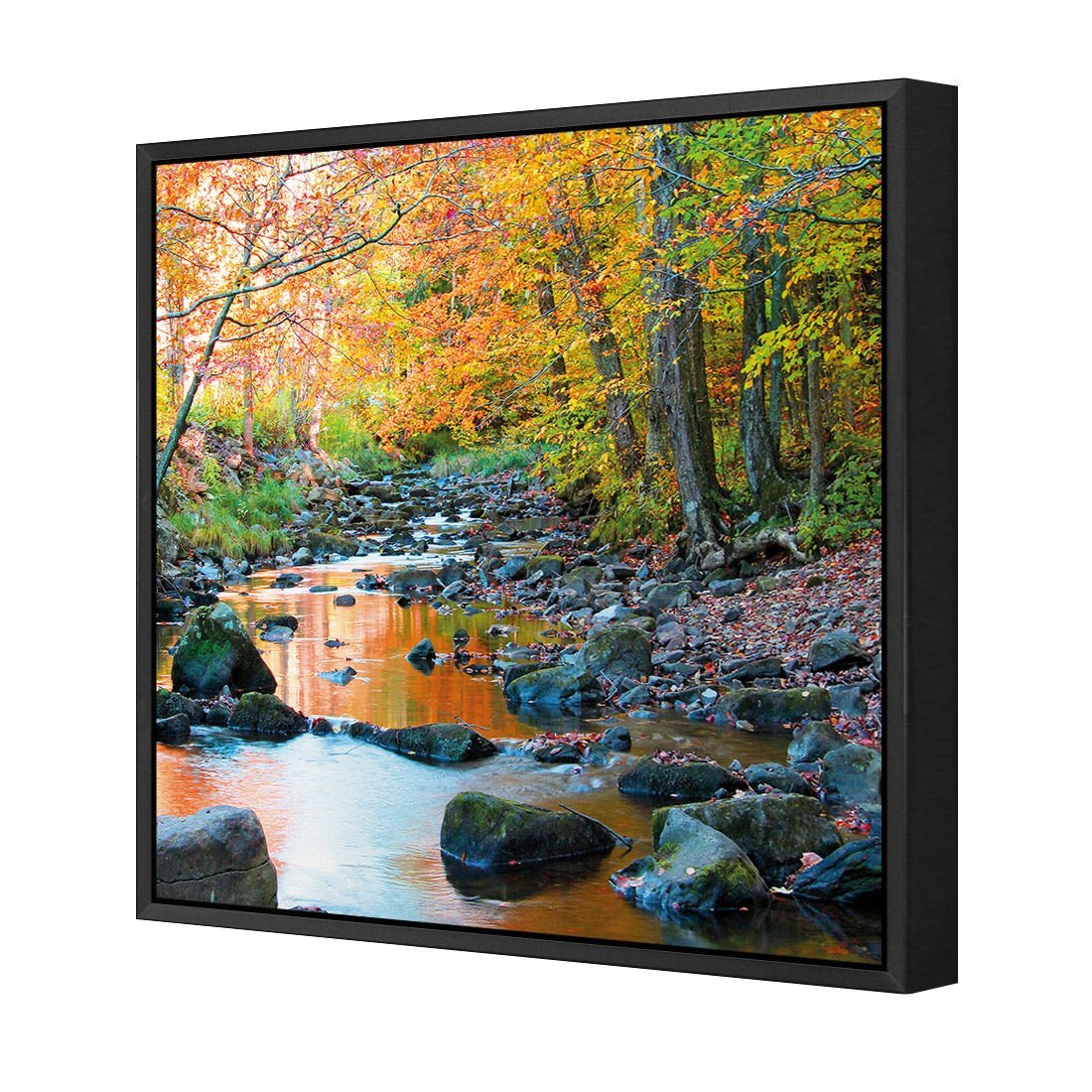 Forest Stream (square) - Wall Art Designs - 1234_AS_Q WAD_CP - MPY - 260 - M - S - S_37x37_S - 1550 - BLK