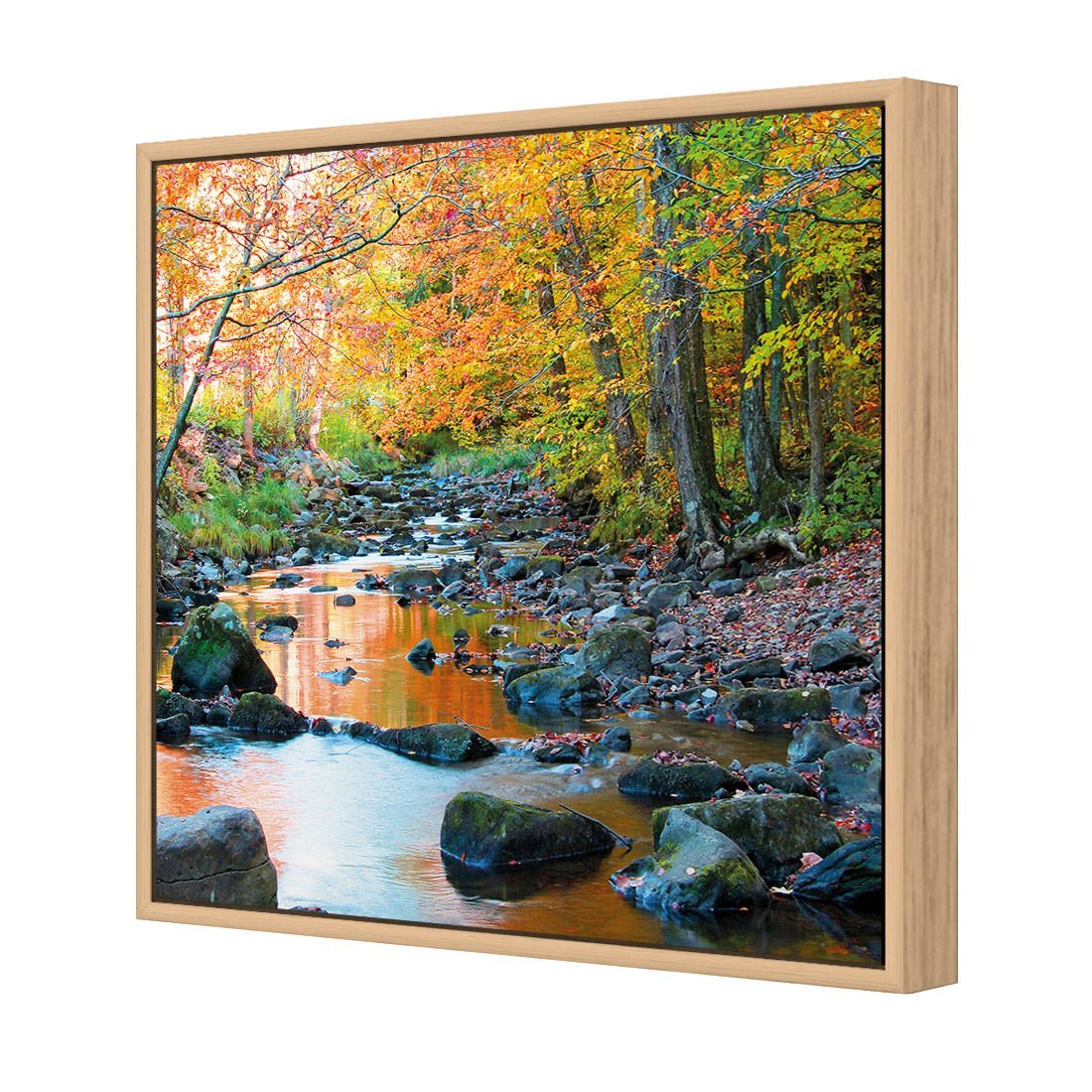 Forest Stream (square) - Wall Art Designs - 1234_AS_Q WAD_CP - MPY - 260 - M - S - S_37x37_S - 1550 - OAK