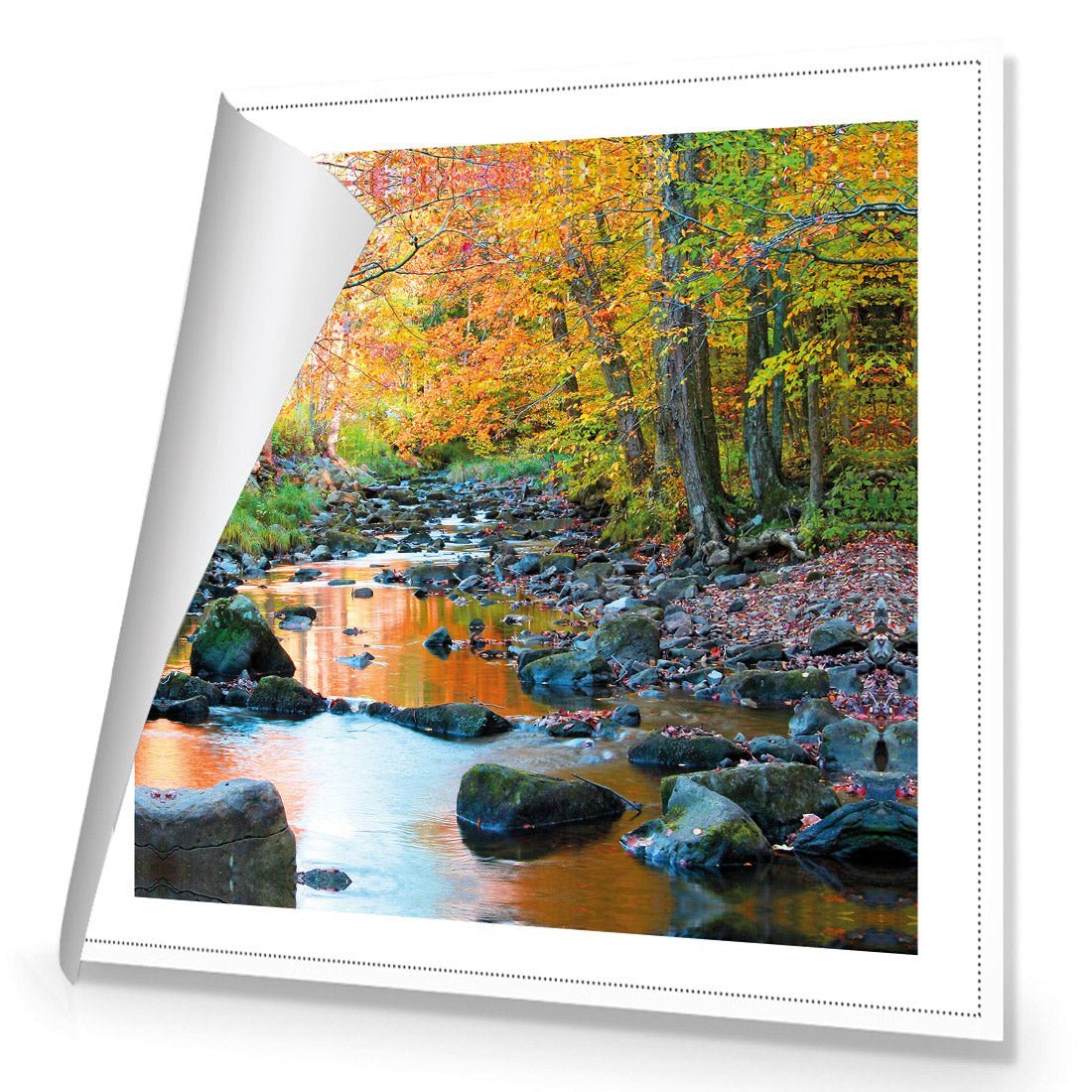 Forest Stream (square) - Wall Art Designs - 1234_AS_Q WAD_CP - MPY - 260 - M - R_37x37_NONE