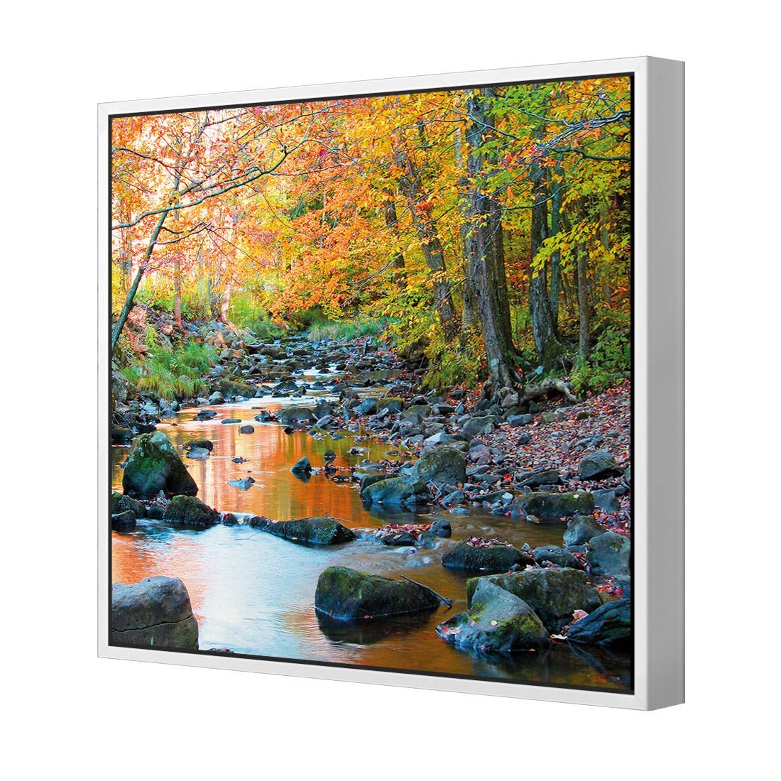 Forest Stream (square) - Wall Art Designs - 1234_AS_Q WAD_CP - MPY - 260 - M - S - S_37x37_S - 1550 - WHT