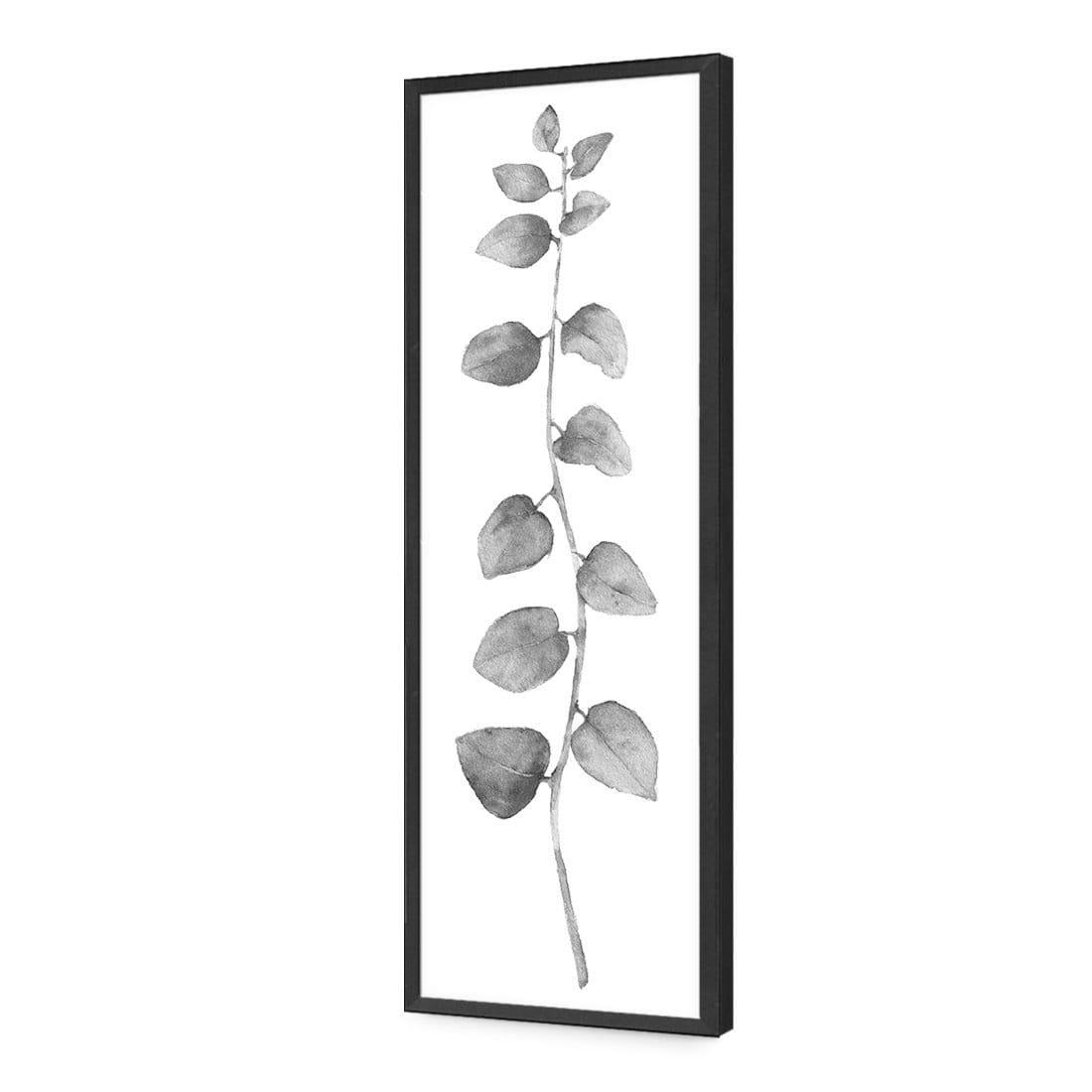 Fragrant Herb 1, Black and White (Long) - Wall Art Designs - 3196_BL_V WAD_AP - 030 - EDG_90x30_S - 2538 - BLK