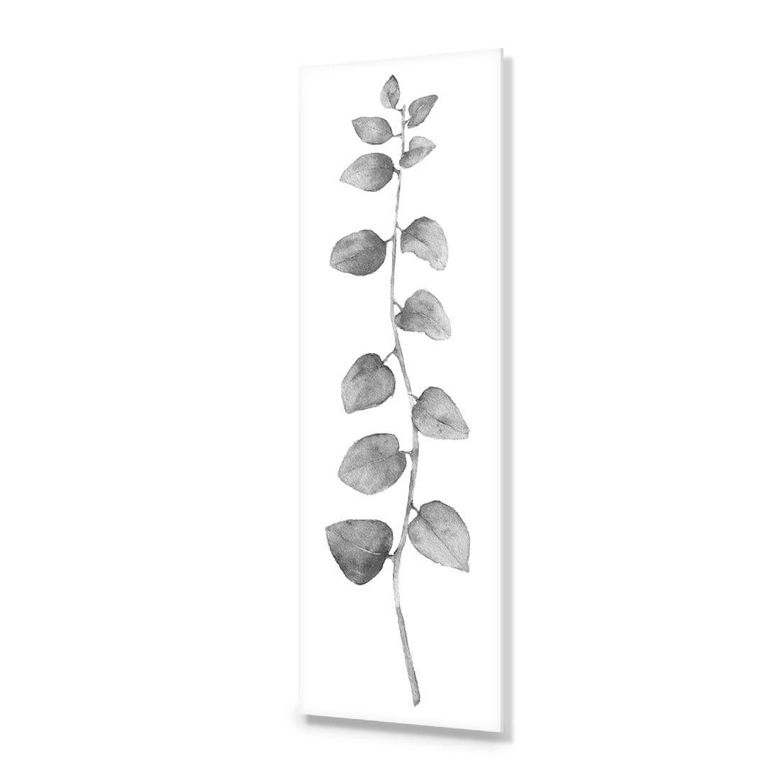 Fragrant Herb 1, Black and White (Long) - Wall Art Designs - 3196_BL_V WAD_AP - 030 - EDG_90x30_NONE