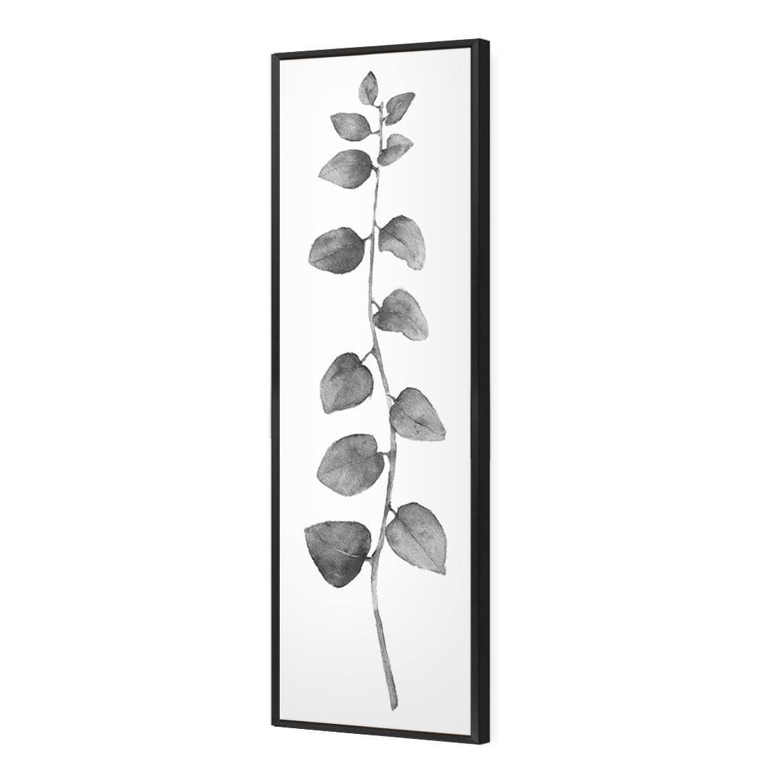 Fragrant Herb 1, Black and White (Long) - Wall Art Designs - 3196_BL_V WAD_CP - MPY - 260 - BFFFFFF - S - S_60x20_S - 1550 - BLK