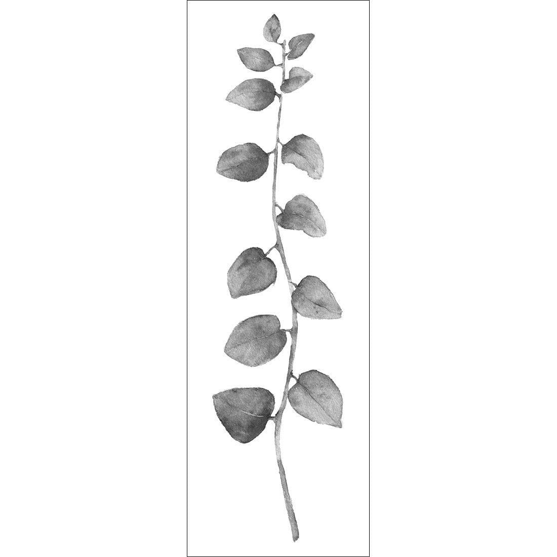 Fragrant Herb 1, Black and White (Long) - Wall Art Designs - 3196_BL_V WAD_CP - MPY - 260 - BFFFFFF - S - S_60x20_NONE