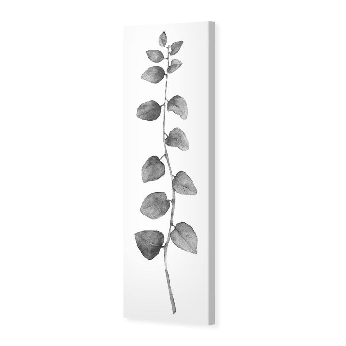 Fragrant Herb 1, Black and White (Long) - Wall Art Designs - 3196_BL_V WAD_CP - MPY - 260 - BFFFFFF - S - S_60x20_NONE