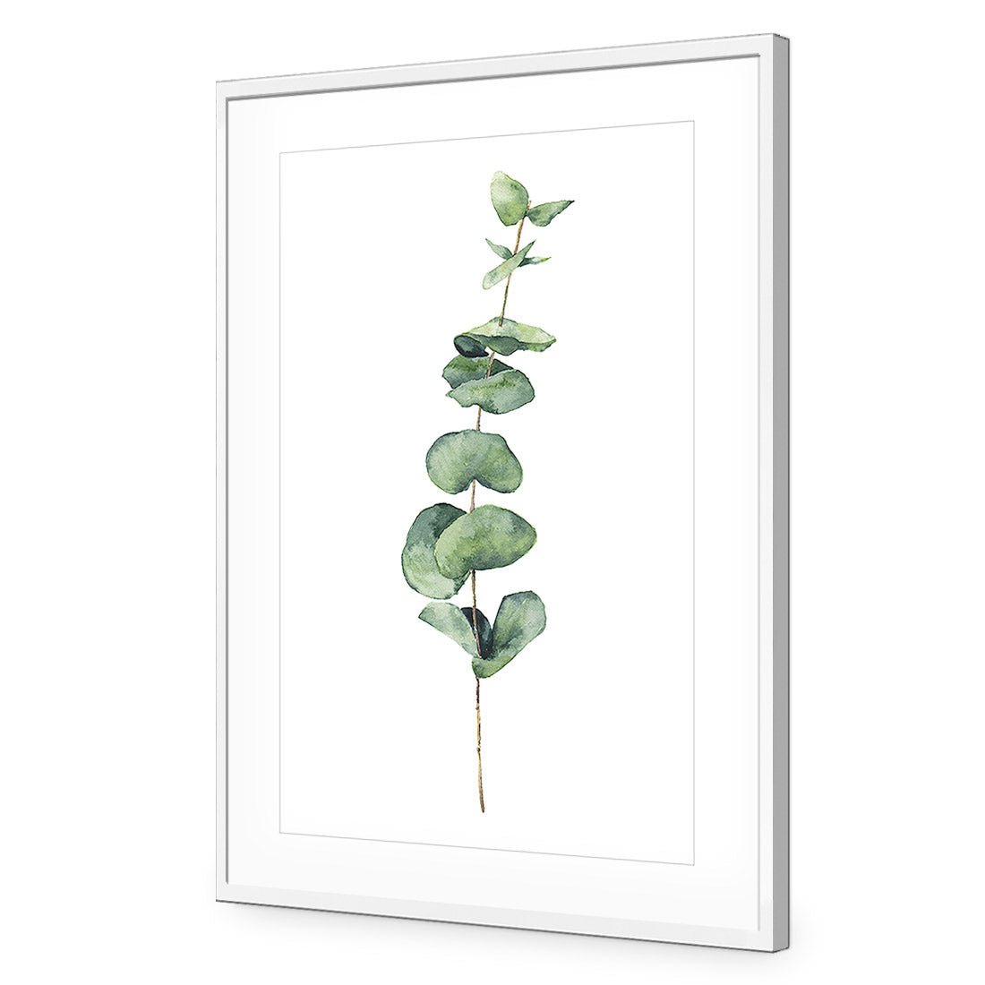 Fragrant Herb 2 Acrylic Print Art - Wall Art Designs - 3197_AR_V WAD_AP - 030 - MAT_45x30_S - 2538 - WHT