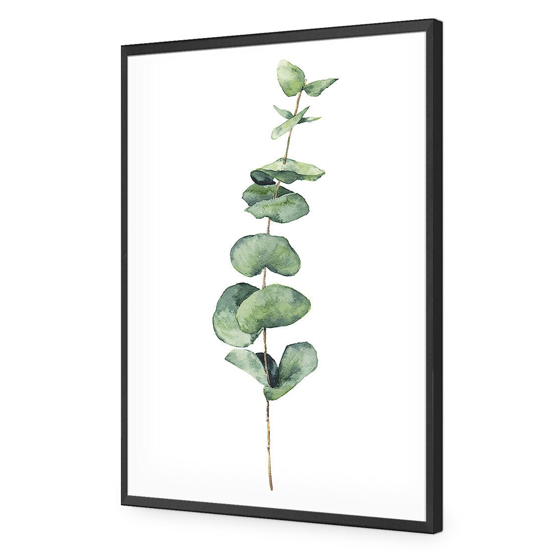 Fragrant Herb 2 Acrylic Print Art - Wall Art Designs - 3197_AR_V WAD_AP - 030 - EDG_45x30_S - 2538 - BLK