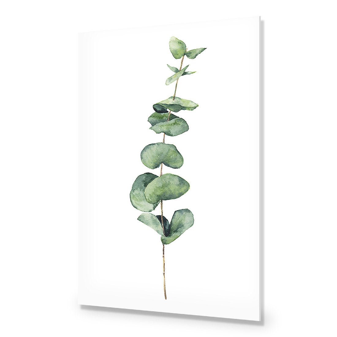 Fragrant Herb 2 Acrylic Print Art - Wall Art Designs - 3197_AR_V WAD_AP - 030 - EDG_45x30_NONE