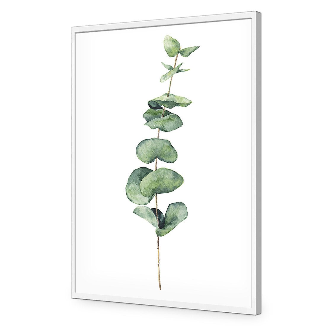 Fragrant Herb 2 Acrylic Print Art - Wall Art Designs - 3197_AR_V WAD_AP - 030 - EDG_45x30_S - 2538 - WHT