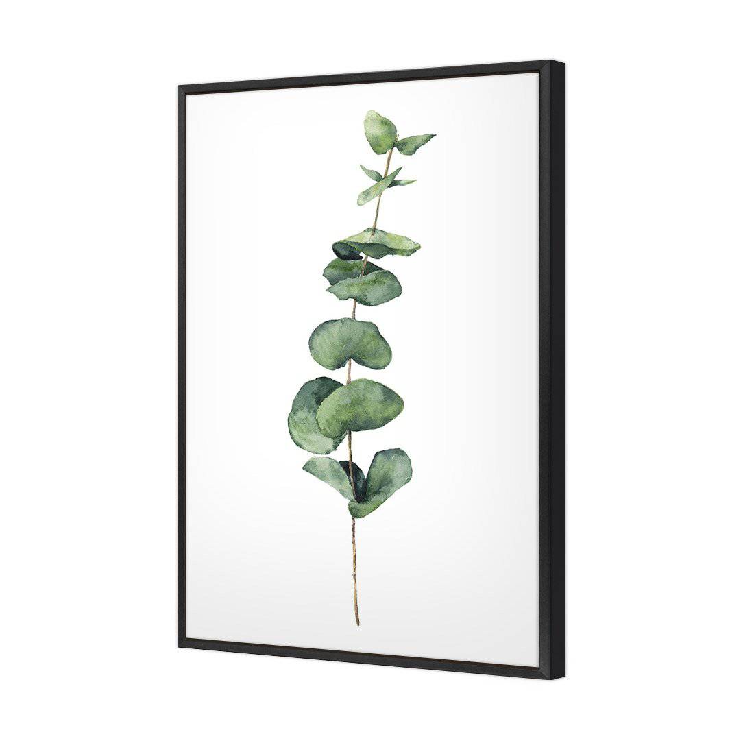Fragrant Herb 2 | Standard Canvas | Floating Frame | Black