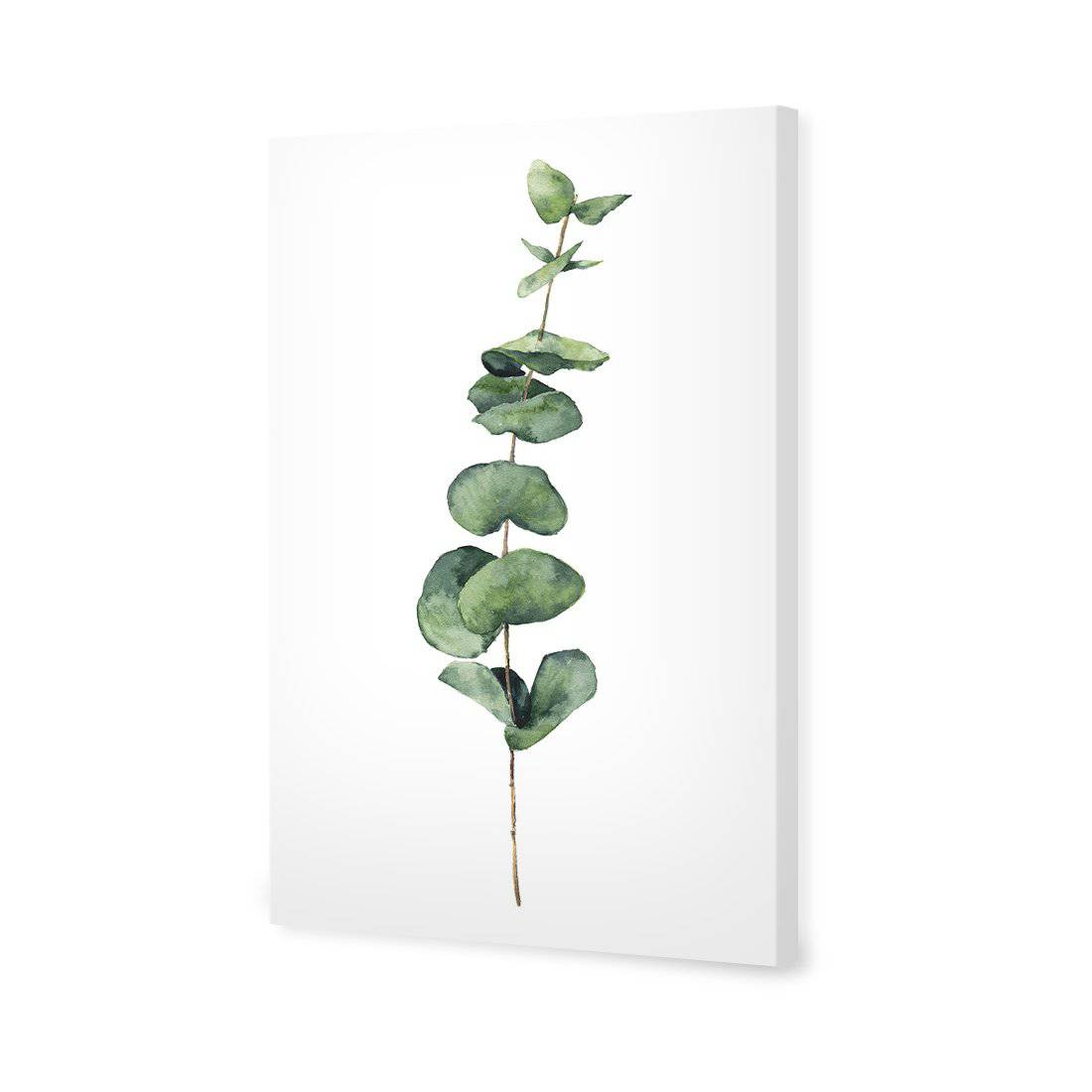 Fragrant Herb 2 | Standard Canvas | No Frame | Stretched Canvas