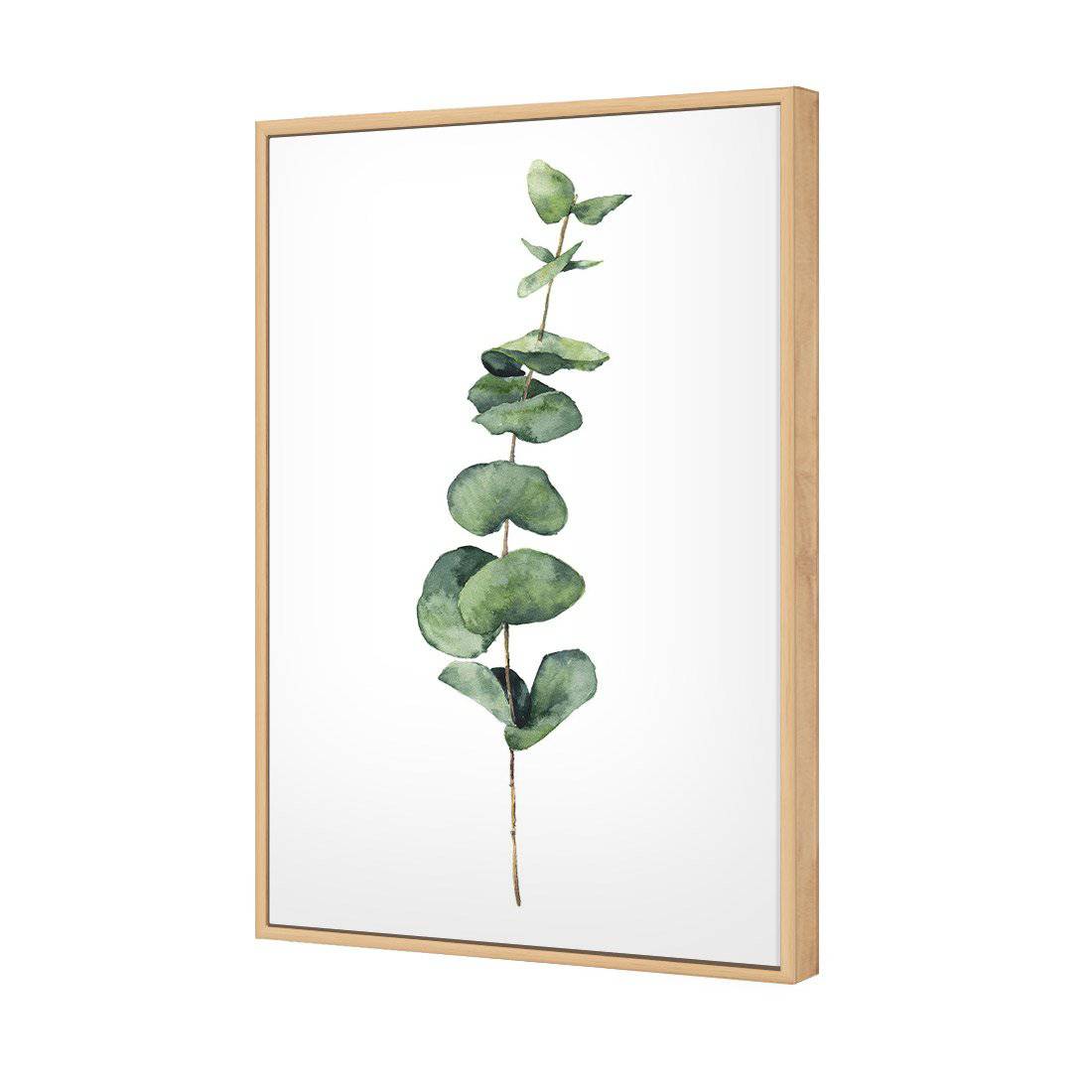 Fragrant Herb 2 Canvas Art - Wall Art Designs - 3197_AR_V WAD_CP - MPY - 260 - M - S - S_45x30_S - 1550 - OAK