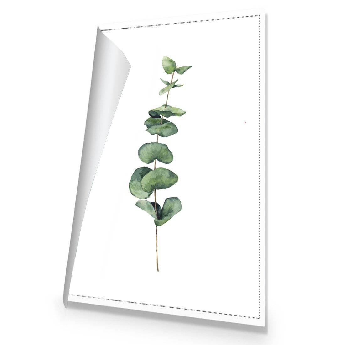 Fragrant Herb 2 Canvas Art - Wall Art Designs - 3197_AR_V WAD_CP - MPY - 260 - M - R_45x30_NONE