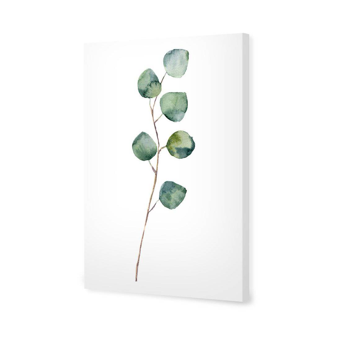 Fragrant Herb 3 | Standard Canvas | No Frame | Stretched Canvas