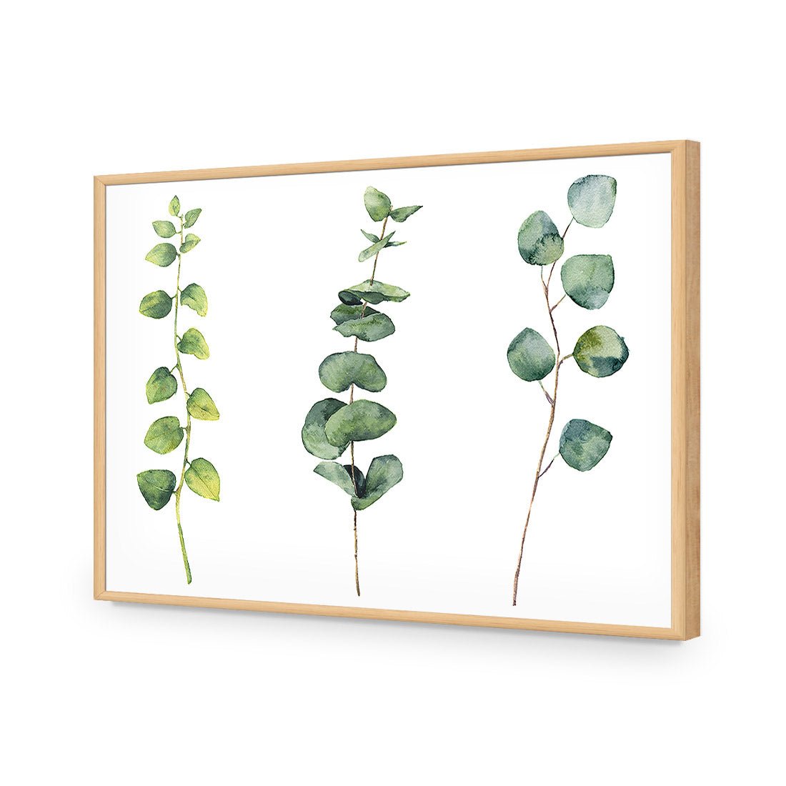 Fragrant Herb Trio - Wall Art Designs - 3195_AR_H WAD_CP - MPY - 260 - BFFFFFF - S - S_45x30_NONE