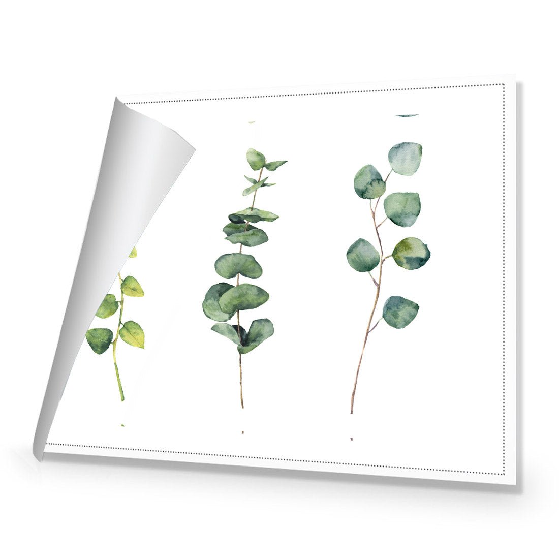 Fragrant Herb Trio - Wall Art Designs - 3195_AR_H WAD_CP - MPY - 260 - BFFFFFF - S - S_45x30_NONE