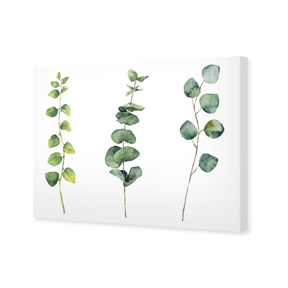 Fragrant Herb Trio - Wall Art Designs - 3195_AR_H WAD_CP - MPY - 260 - BFFFFFF - S - S_45x30_NONE