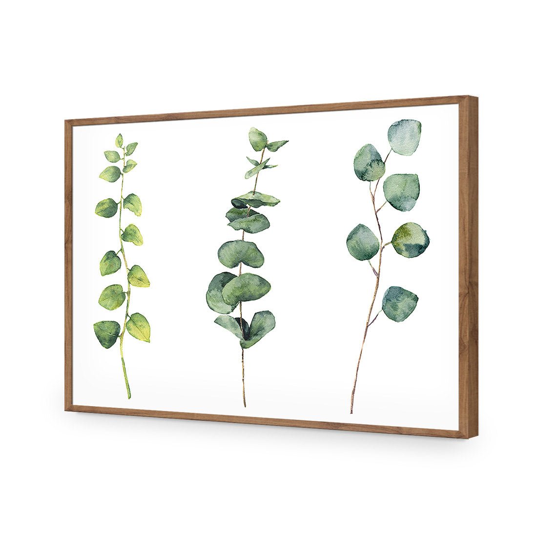 Fragrant Herb Trio - Wall Art Designs - 3195_AR_H WAD_CP - MPY - 260 - BFFFFFF - S - S_45x30_NONE