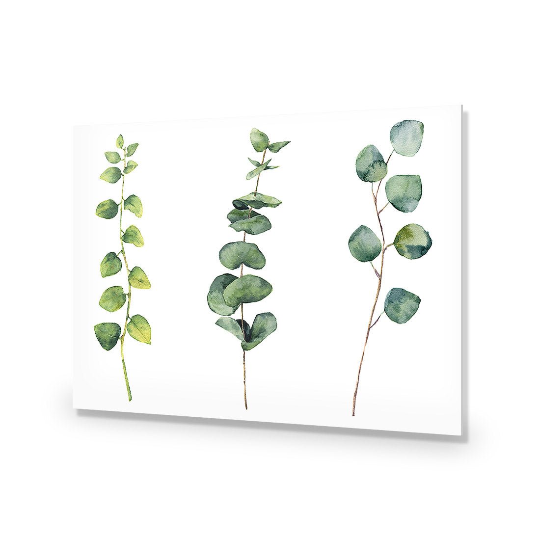 Fragrant Herb Trio - Wall Art Designs - 3195_AR_H WAD_CP - MPY - 260 - BFFFFFF - S - S_45x30_NONE