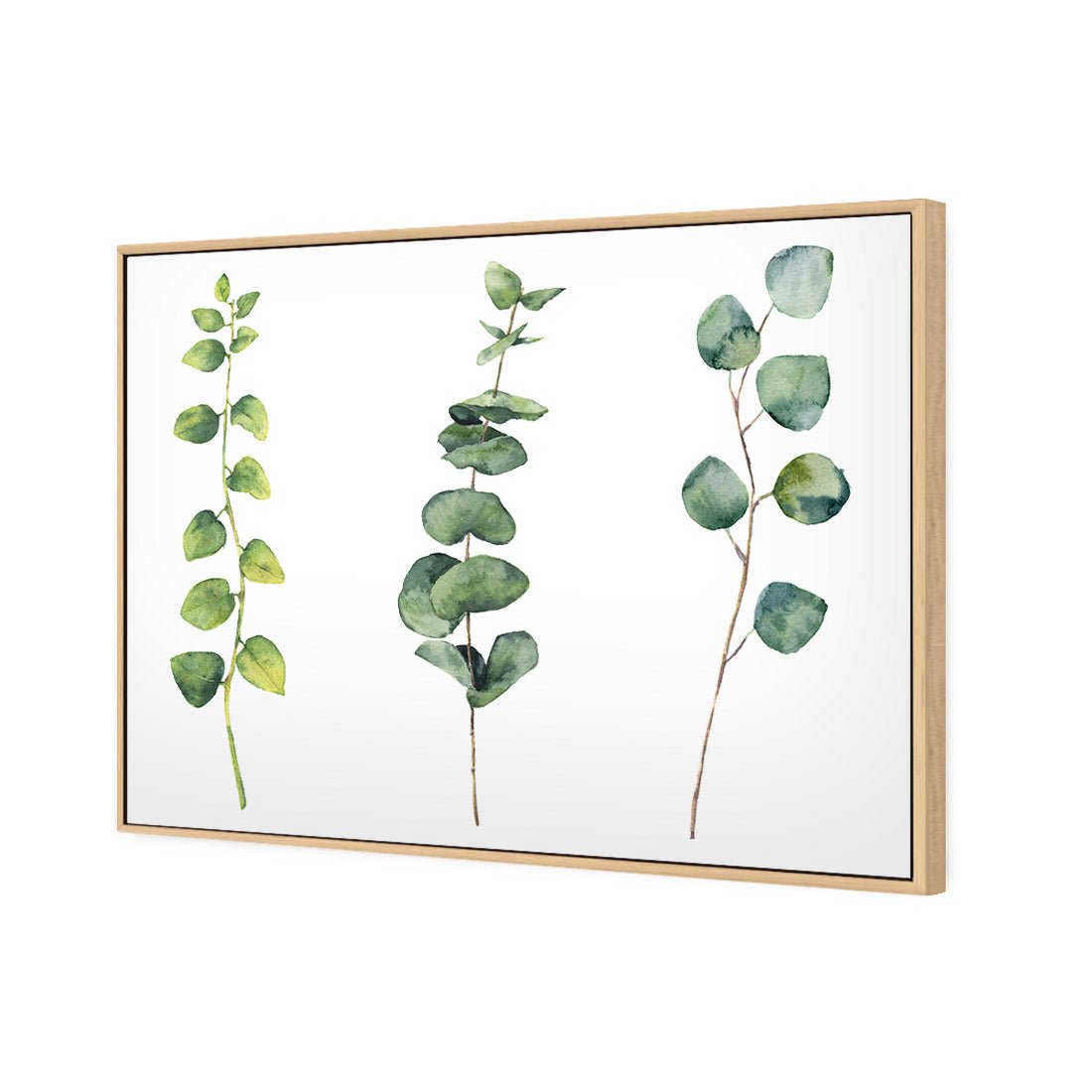 Fragrant Herb Trio - Wall Art Designs - 3195_AR_H WAD_CP - MPY - 260 - BFFFFFF - S - S_45x30_NONE