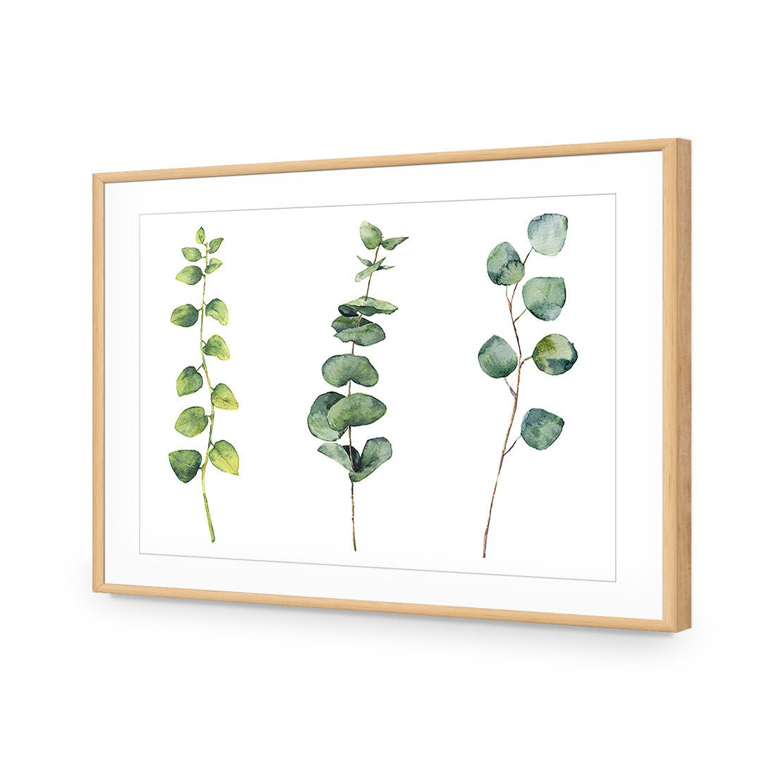 Fragrant Herb Trio - Wall Art Designs - 3195_AR_H WAD_CP - MPY - 260 - BFFFFFF - S - S_45x30_NONE