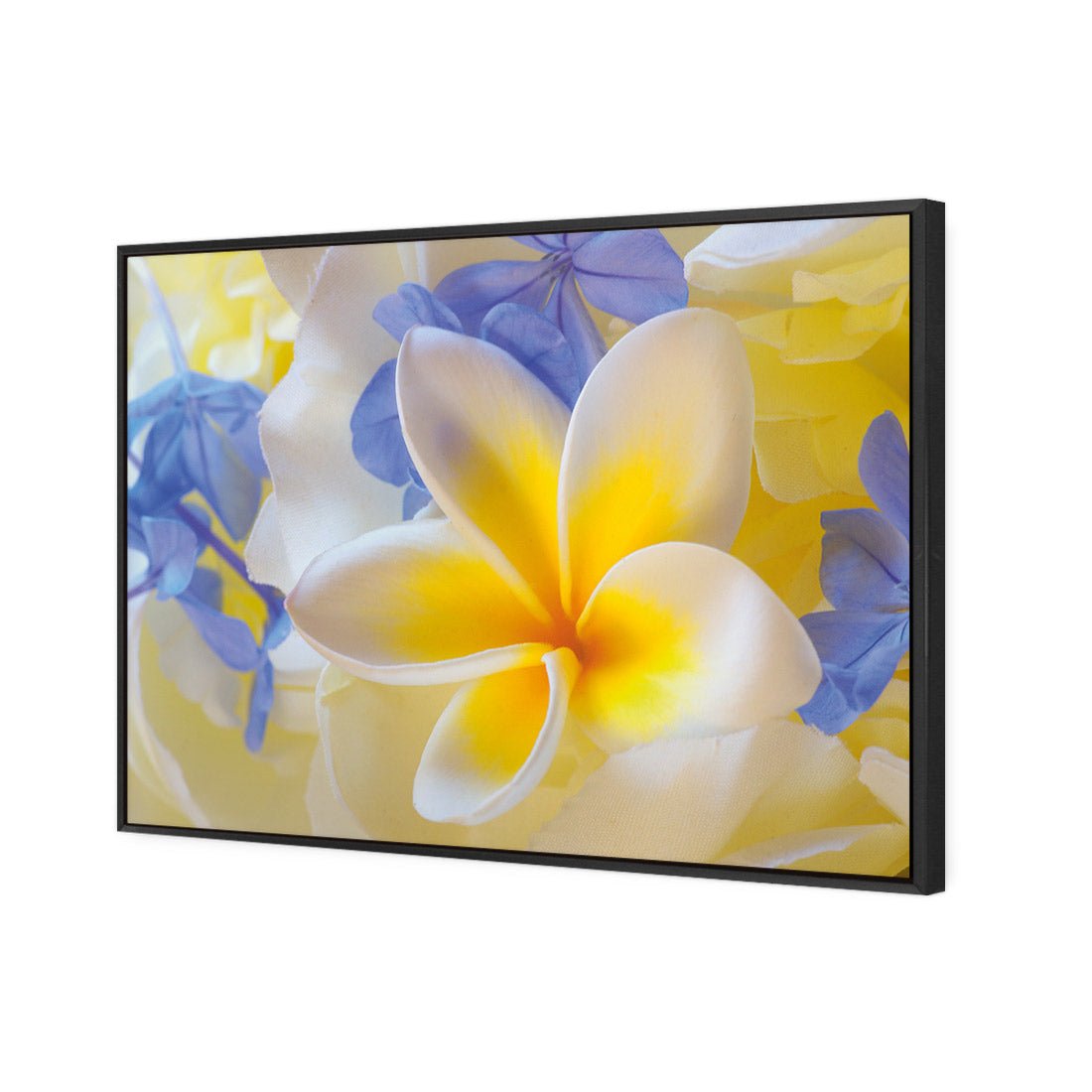 Frangipani and Cornflower - Wall Art Designs - 2508_AR_H WAD_CP - MPY - 260 - M - S - S_45x30_NONE