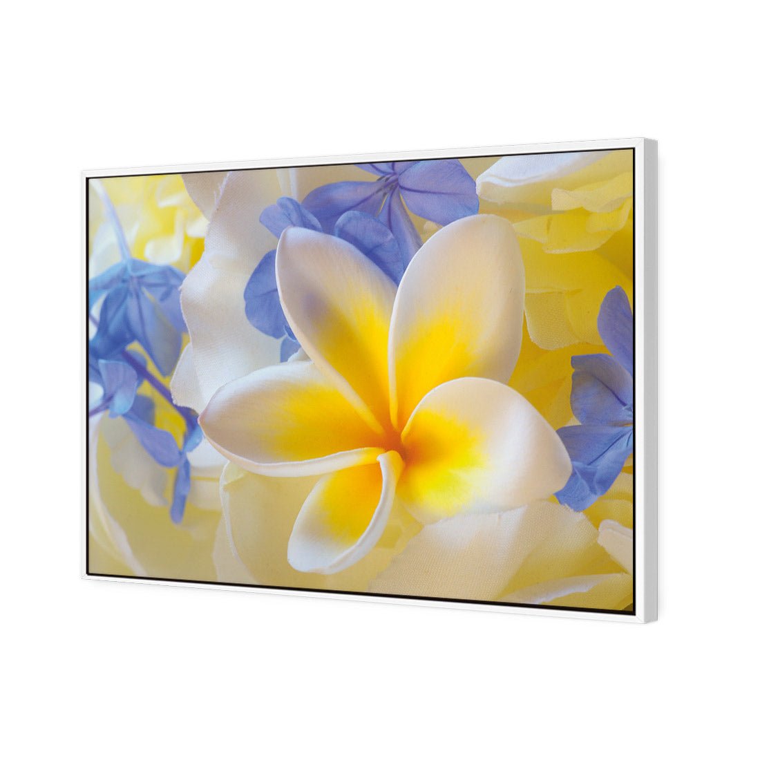 Frangipani and Cornflower - Wall Art Designs - 2508_AR_H WAD_CP - MPY - 260 - M - S - S_45x30_NONE