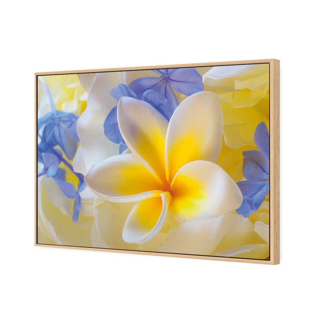 Frangipani and Cornflower - Wall Art Designs - 2508_AR_H WAD_CP - MPY - 260 - M - S - S_45x30_NONE