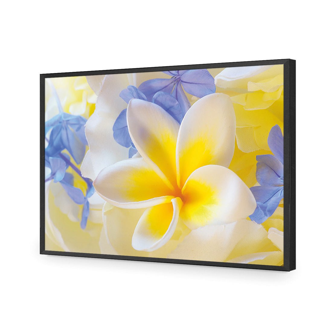 Frangipani and Cornflower - Wall Art Designs - 2508_AR_H WAD_CP - MPY - 260 - M - S - S_45x30_NONE